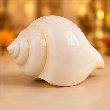 Ganesh Shankh sample photo